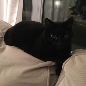 Meet your Posher, Kelsie